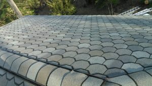 Roof Repair Raleigh