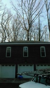 Roof Repair Raleigh