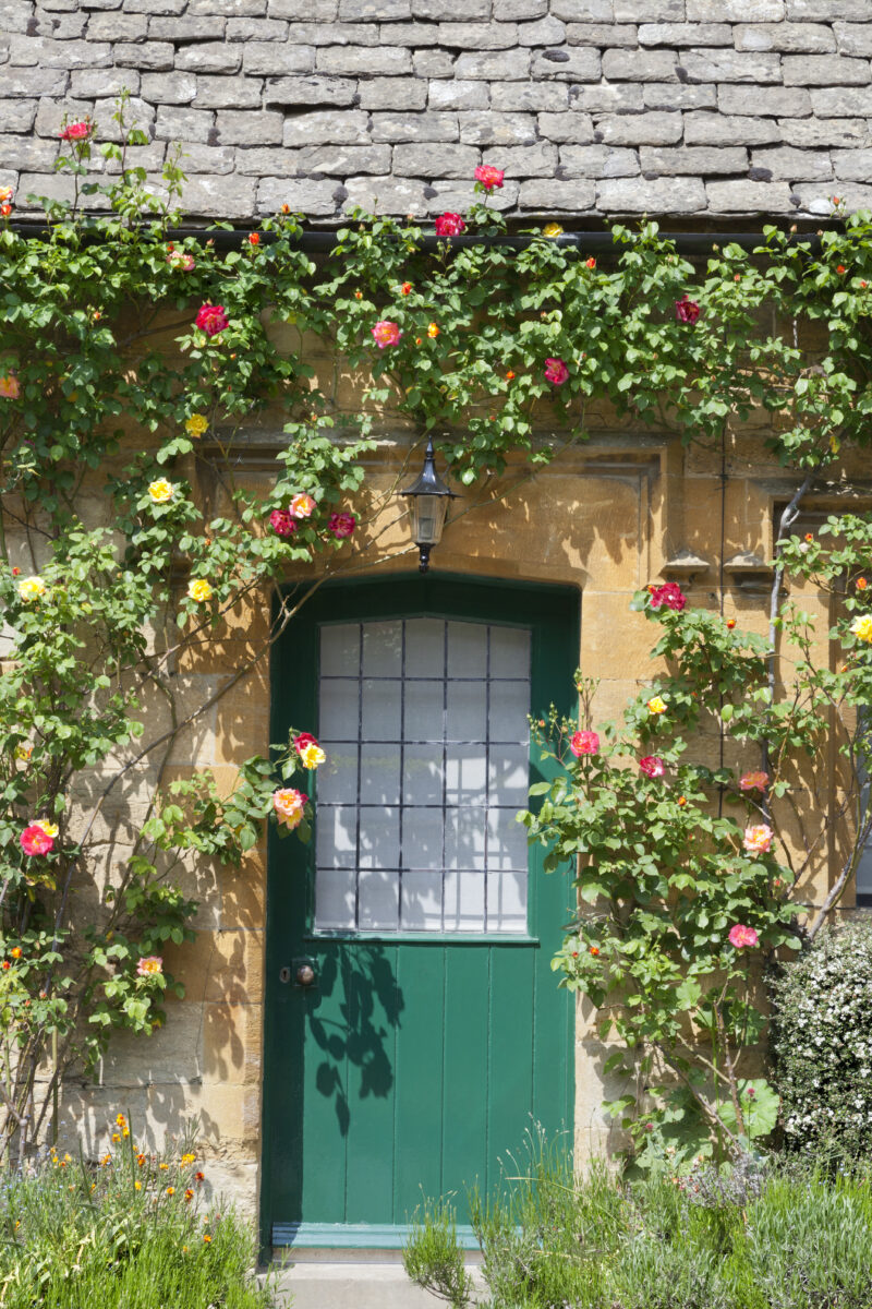 Front Door Color Meanings, Green Door