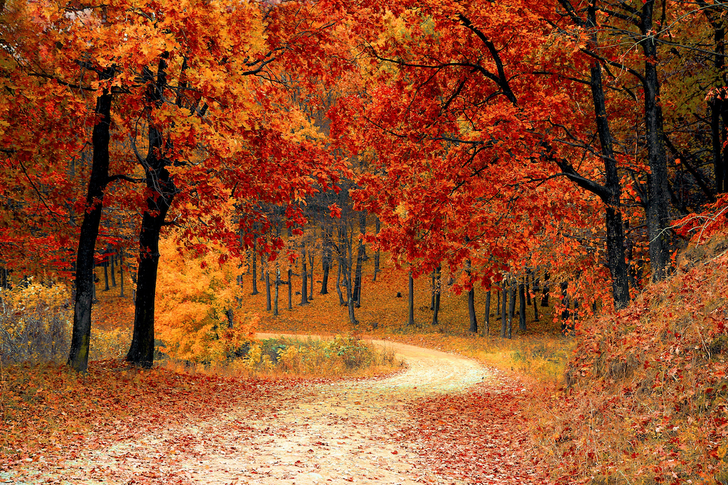 Preparing Your Home For Fall in Durham, North Carolina